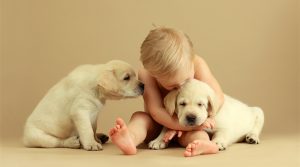 Shotcut v25.12.30 中文绿色版—开源视频剪辑软件-好资源