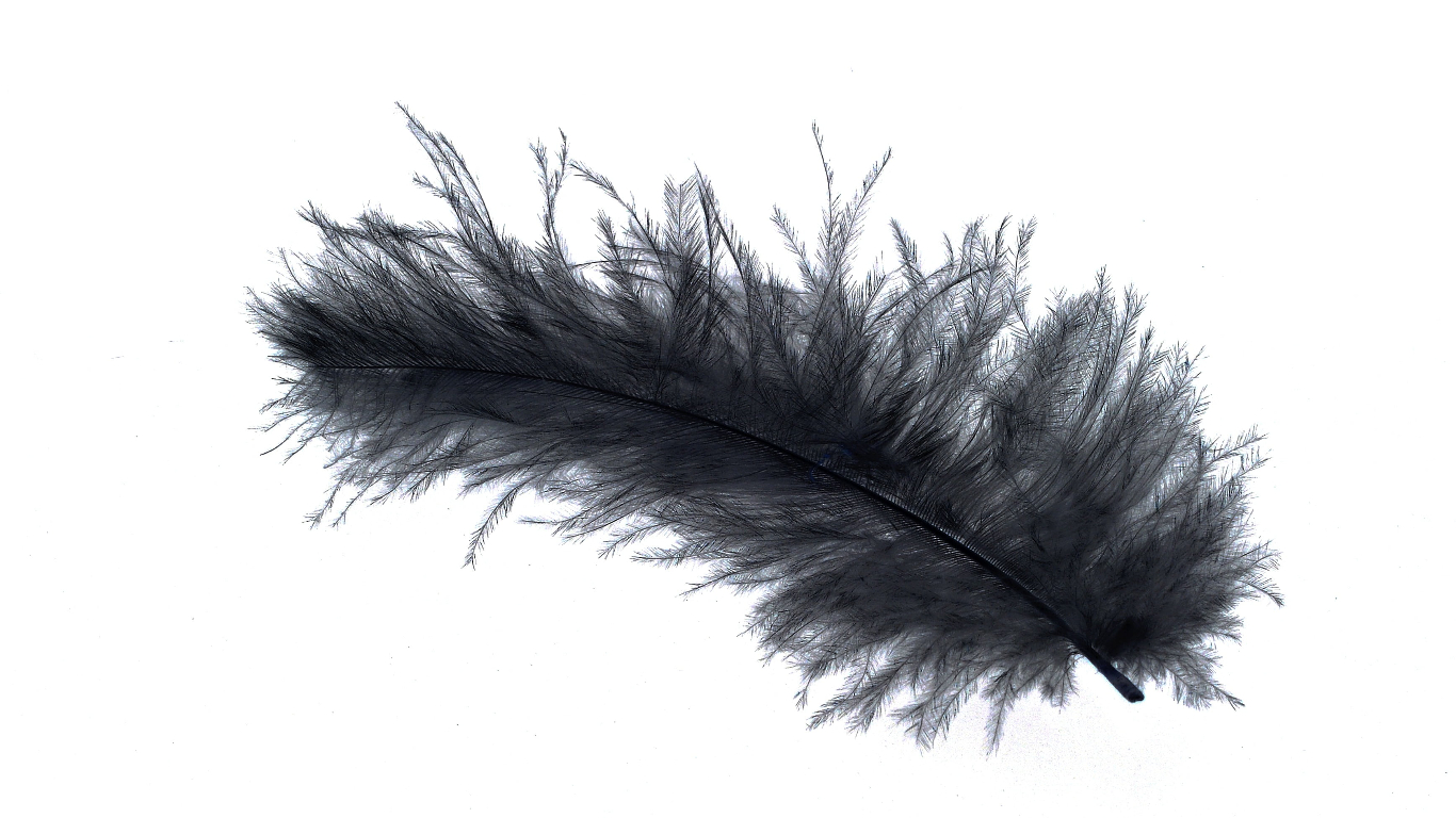 UltraCompare 24.0.0.26 绿色版 - 文件对比工具-好资源