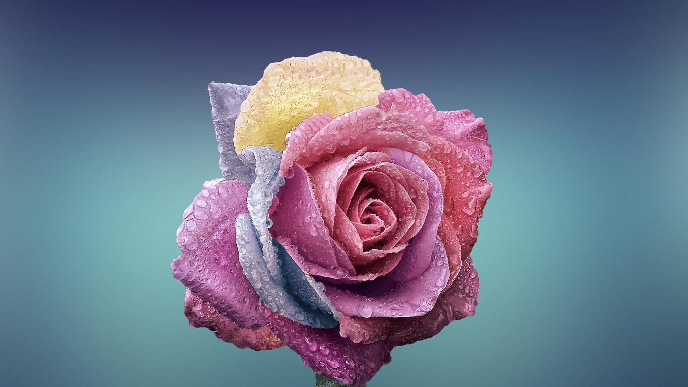 WPS Office_电信定制版_12.8.2.18205-好资源