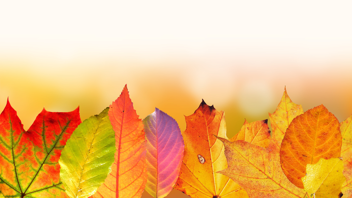 WizTree 4.23 便携版 - 磁盘空间分析工具-好资源