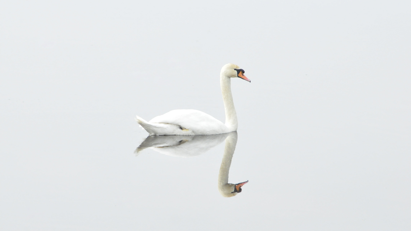 FileZilla 3.68.1 便携版 - FTP工具-好资源