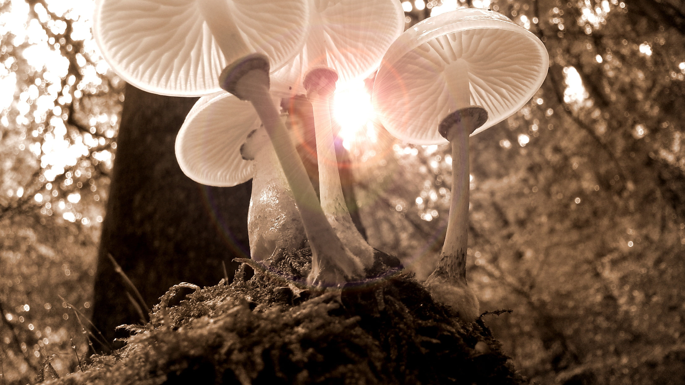 中望CAD2025 SP1.4 zwcad2025中文绿色版-好资源