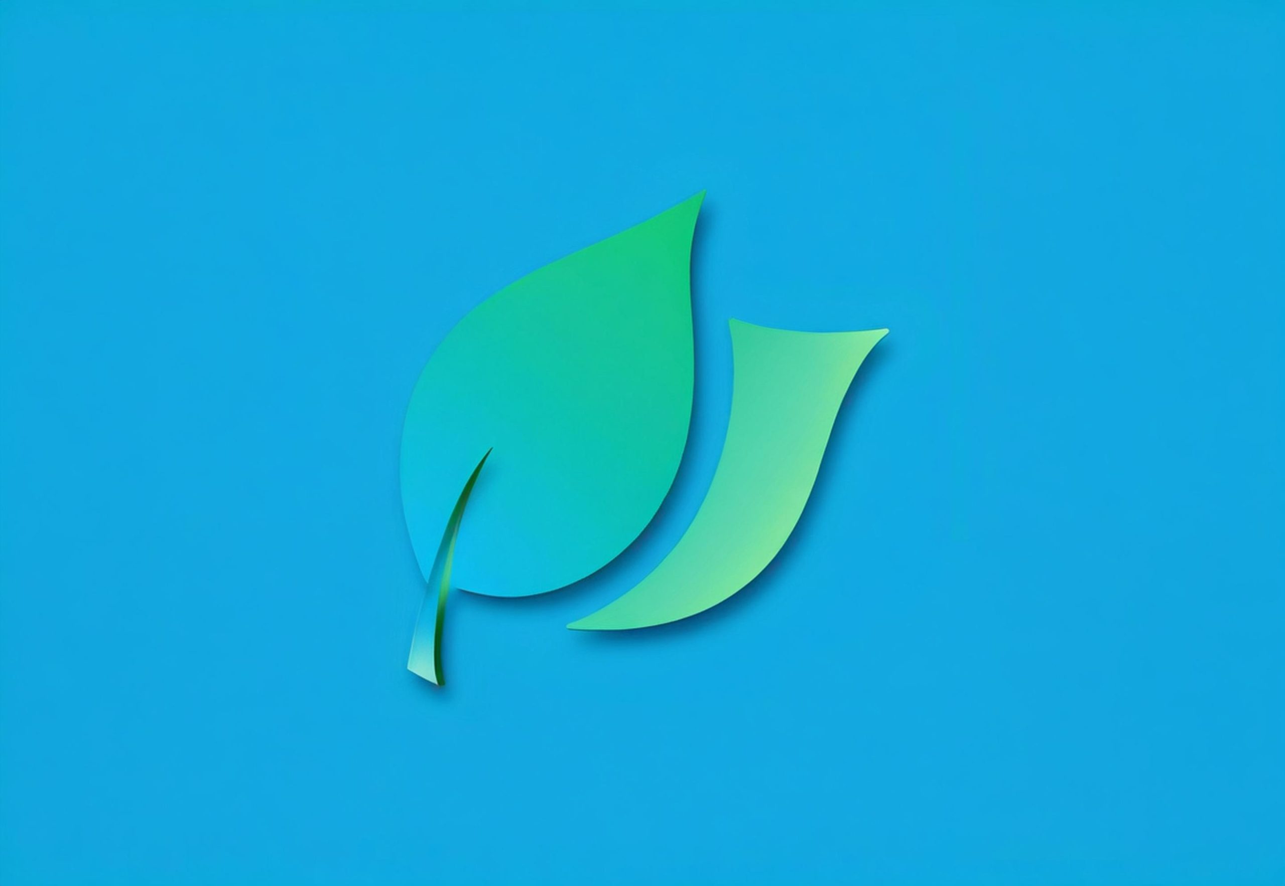 LeafView 3.5.1 绿色版 - 图片浏览器-好资源