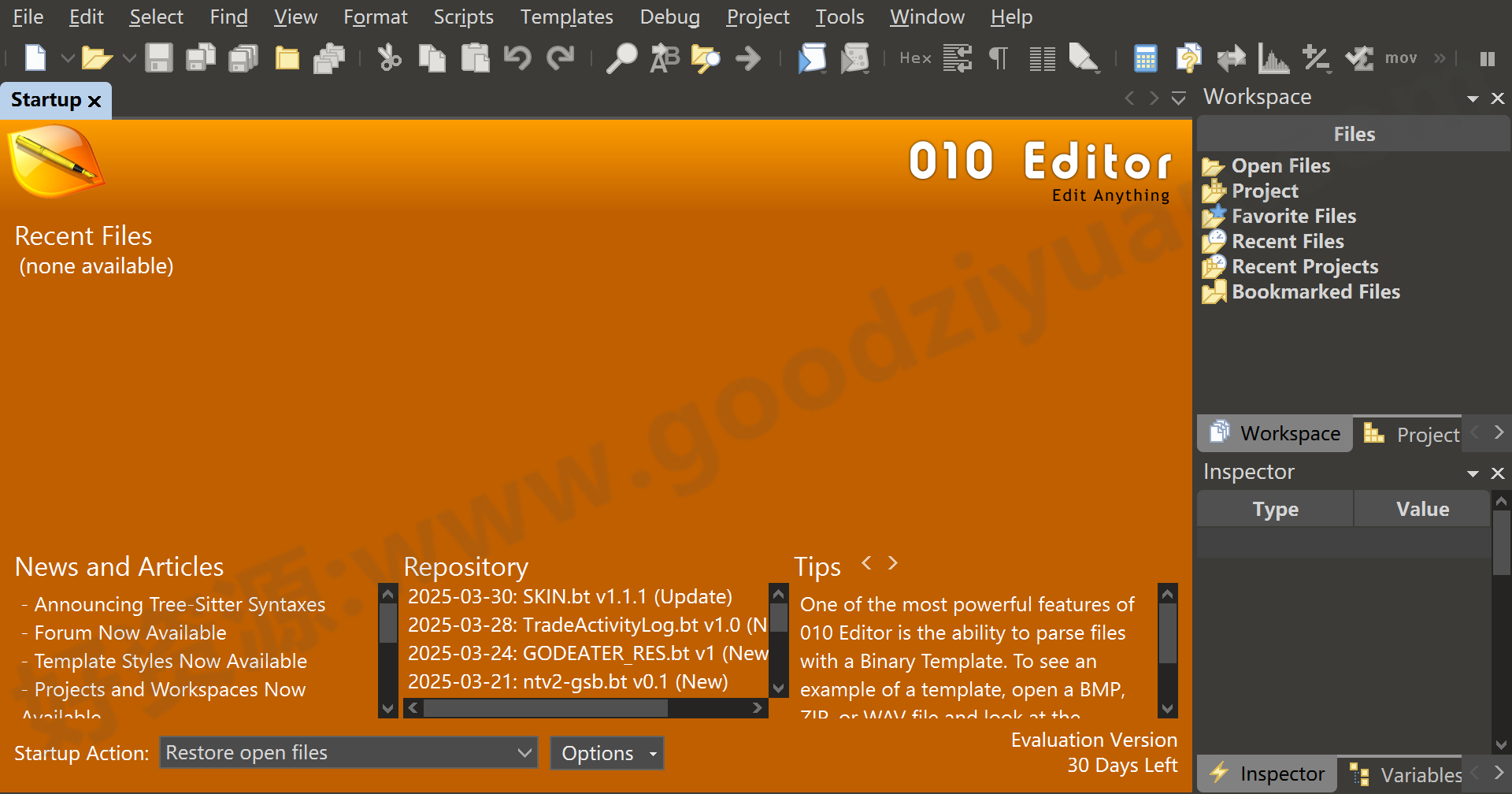 图片[1]-010 Editor 16.0.2 便携版 – 十六进制编辑器-好资源