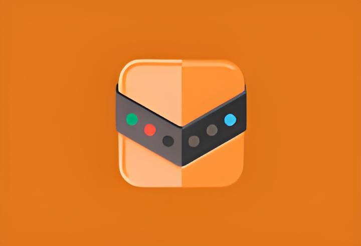 Reg Organizer 9.90 beta1 多语便携版—注册表整理工具-好资源