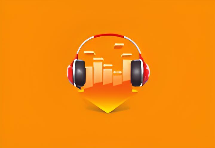 DLNow Video Downloader v1.54.2025.12.31 多语便携版—视频下载-好资源