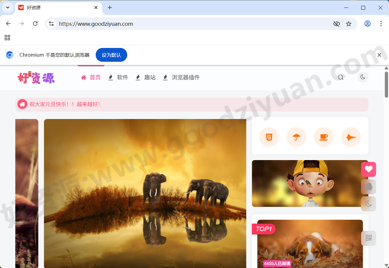 图片[1]-Ungoogled-Chromium v143.0.7499.192-1.1 中文绿色版 —开源浏览器-好资源