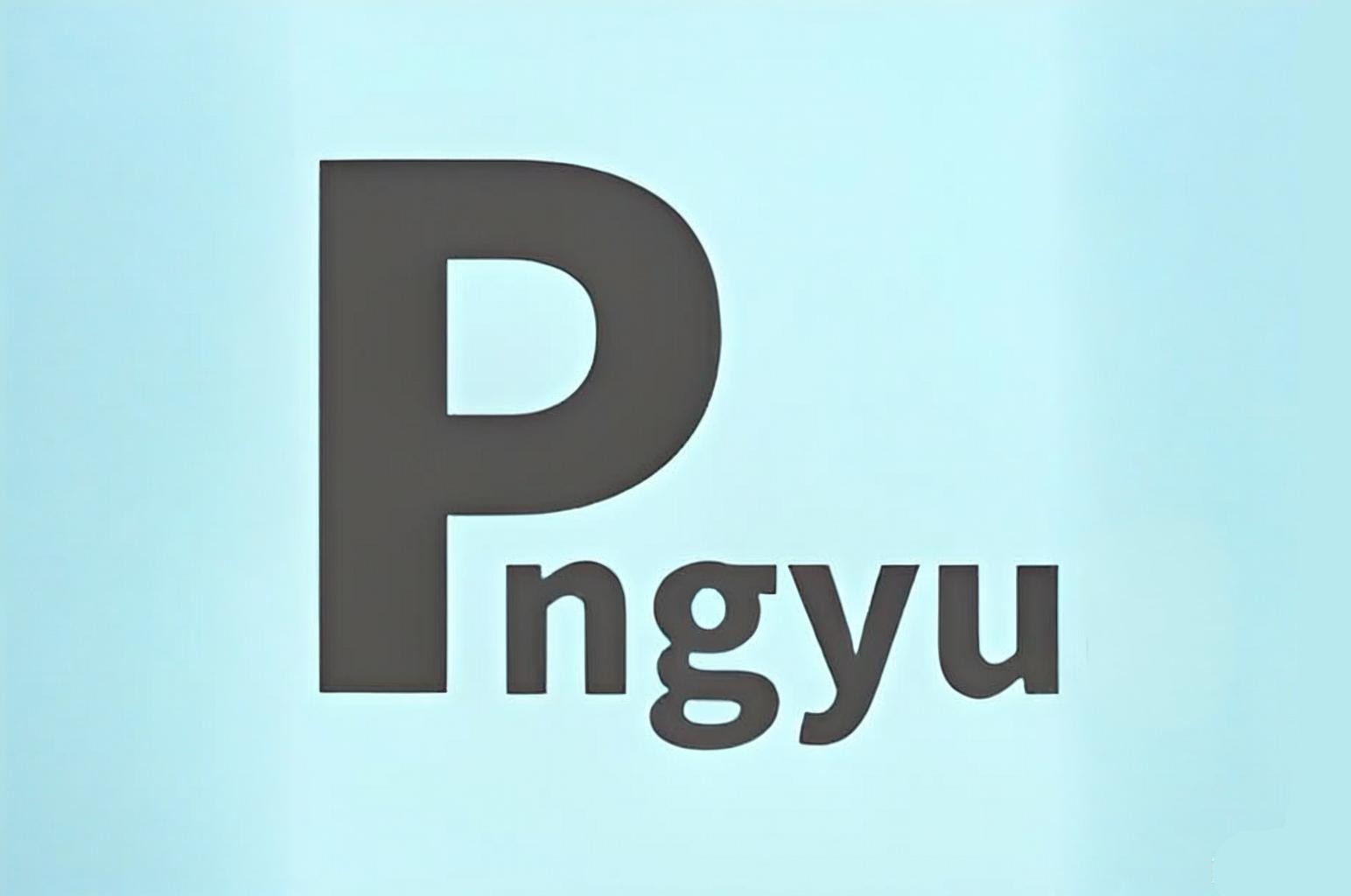 Pngyu v1.0.5 绿色便携版—开源Png图像批量压缩工具-好资源