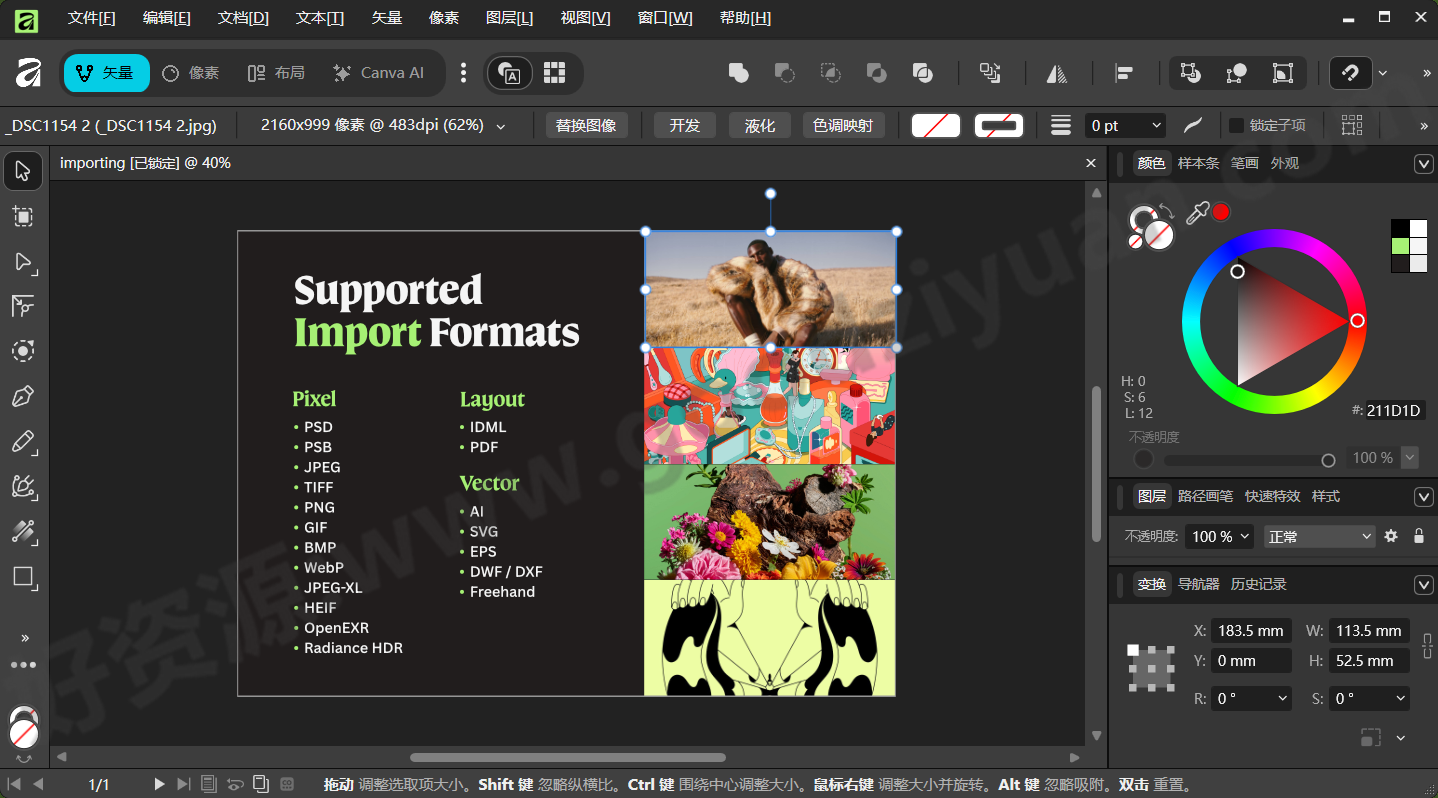 图片[1]-Canva Affinity v3.2.3.4646 多语便携版—图像编辑工具-好资源